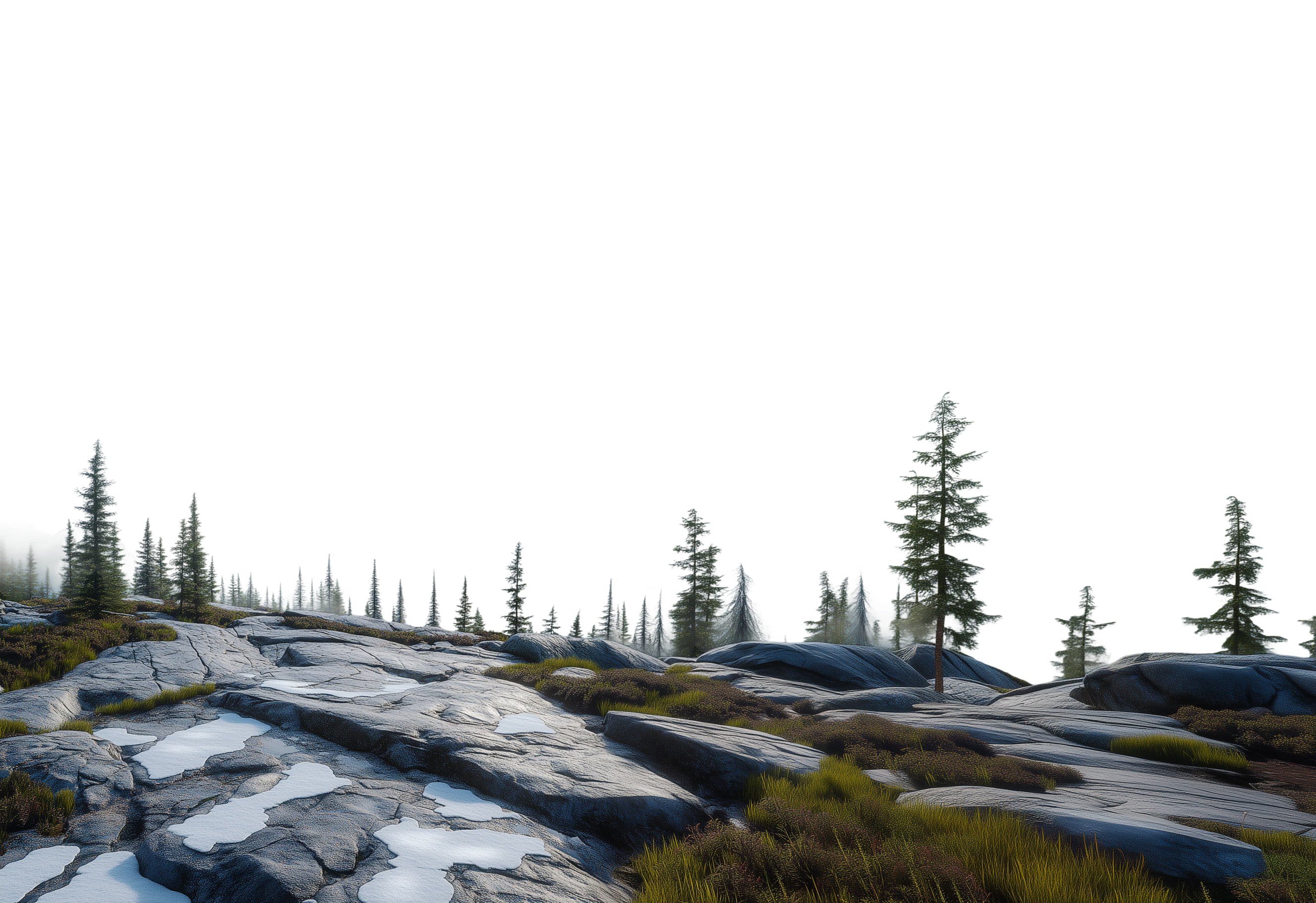 Foreground