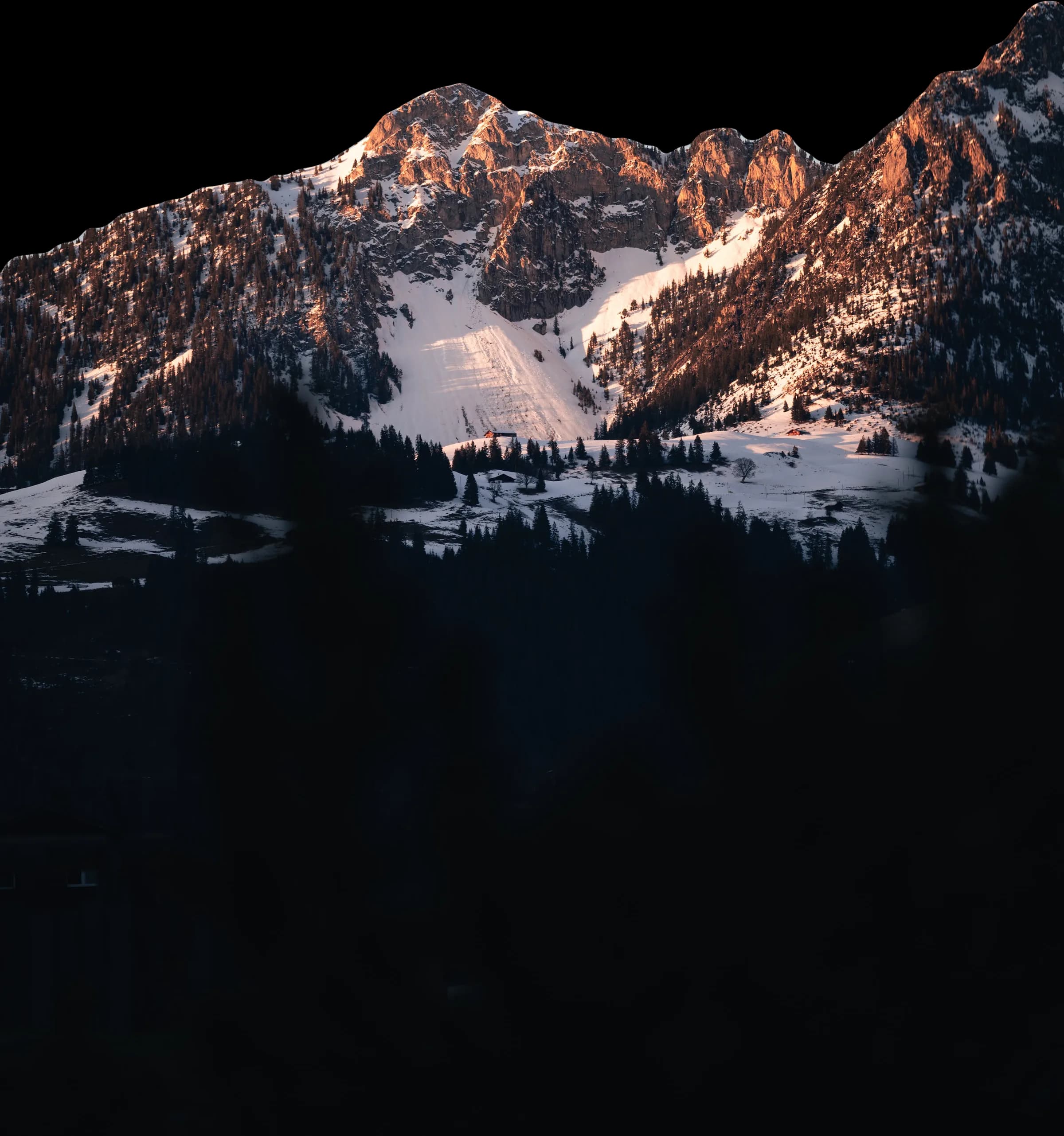 Peaks above the treeline at golden hour