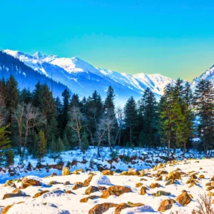 Kashmir Valley Tour