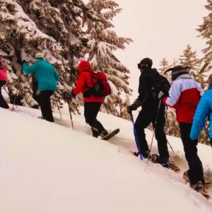 Kashmir Tour Package for Family