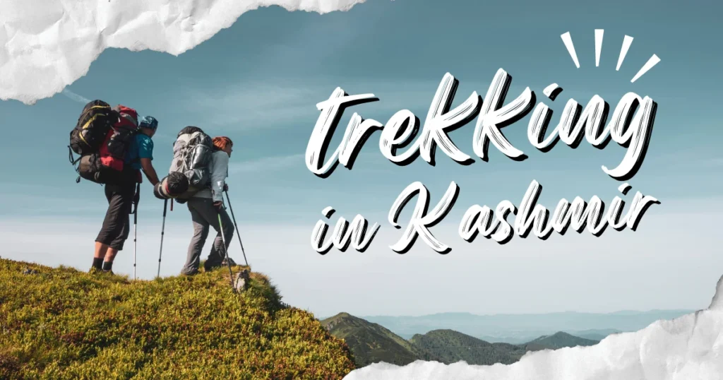 Trekking in Kashmir