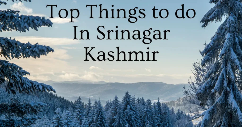 Top Things to do In Srinagar Kashmir