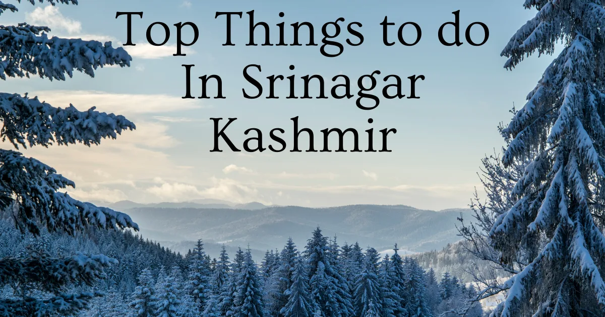 Top Things to do In Srinagar Kashmir