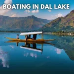 Boating in Dal Lake