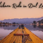 Shikara Ride in Dal Lake