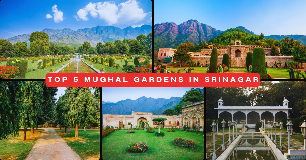 Mughal Gardens in Srinagar