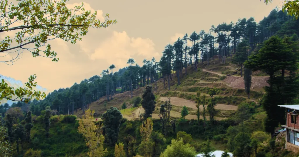 Patnitop Hill Station Tour