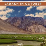 ladakh in october