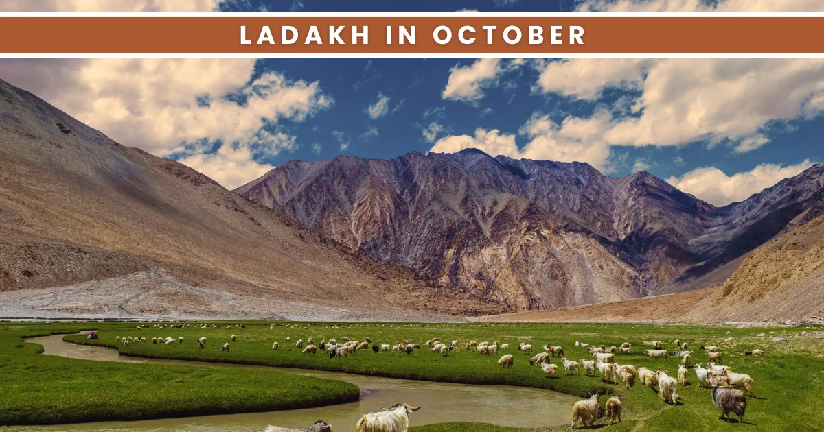 ladakh in october