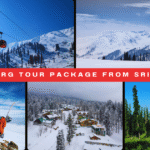 Gulmarg Tour Package from Srinagar