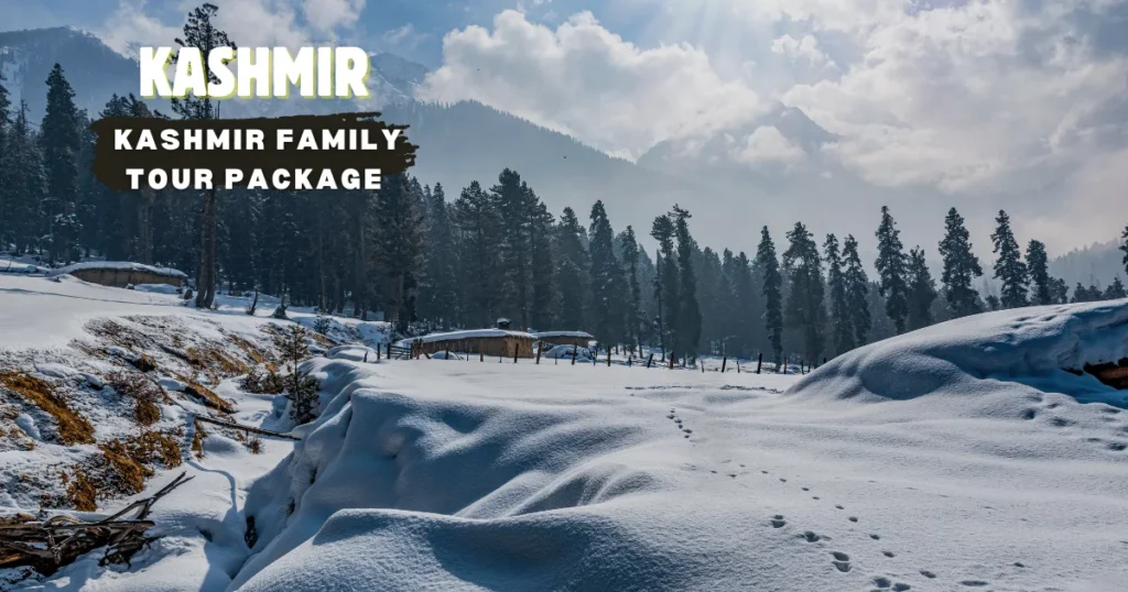 Kashmir Family Tour Package