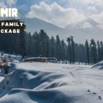 Kashmir Family Tour Package