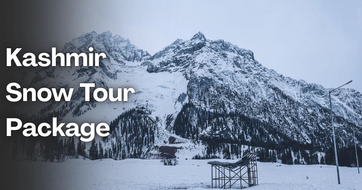 Kashmir Snow Tour Package