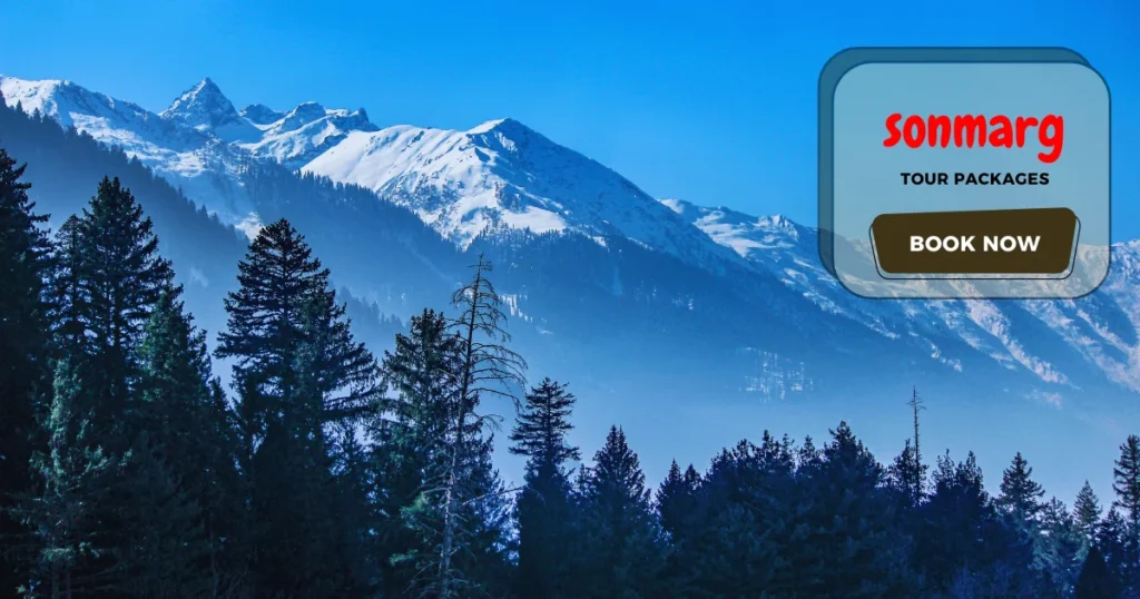 Sonmarg Tour Packages from Delhi