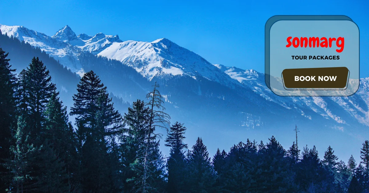 Sonmarg Tour Packages from Delhi