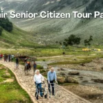 Kashmir Senior Citizen Tour Package