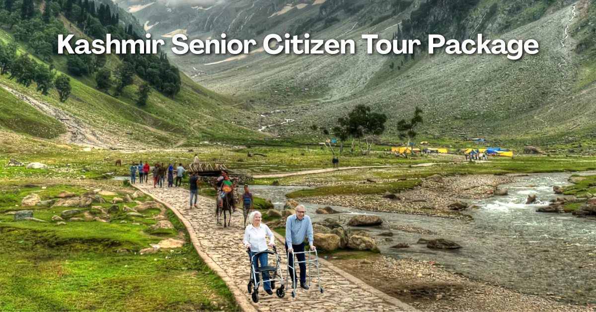 Kashmir Senior Citizen Tour Package
