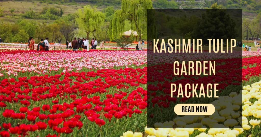 Kashmir Tulip Garden Package