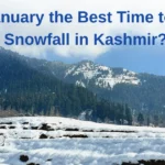 Is January the Best Time to See Snowfall in Kashmir