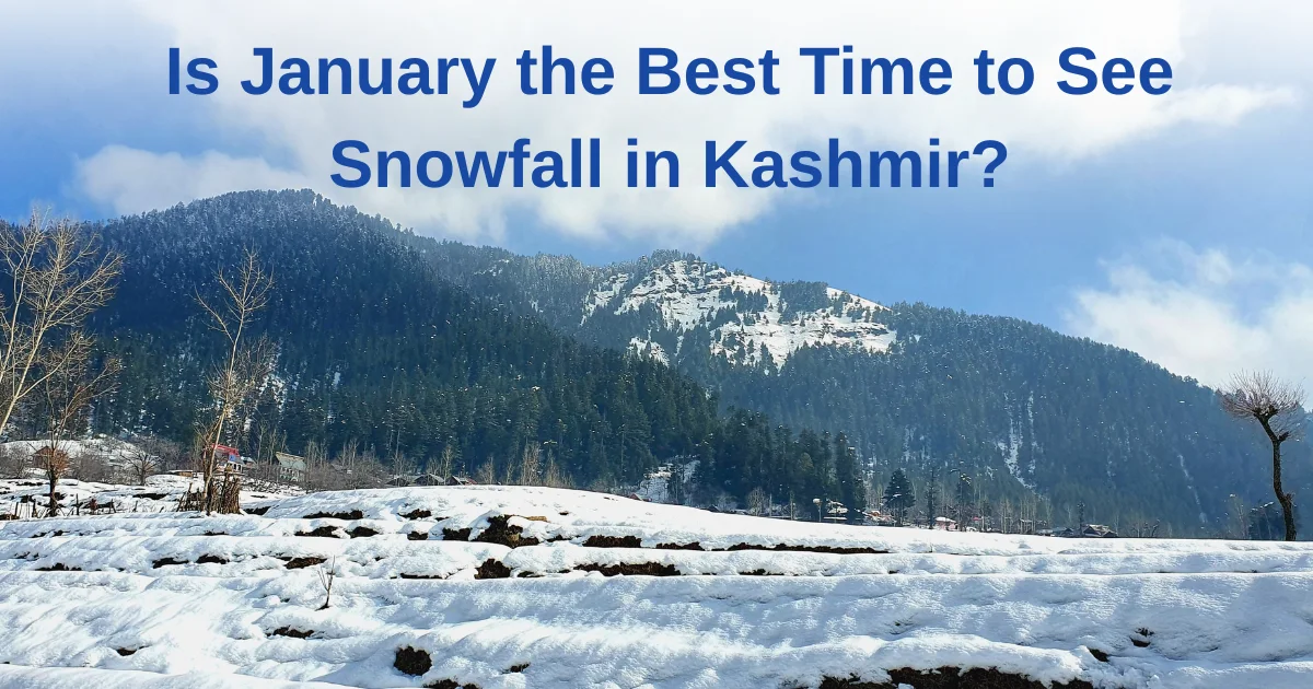 Is January the Best Time to See Snowfall in Kashmir