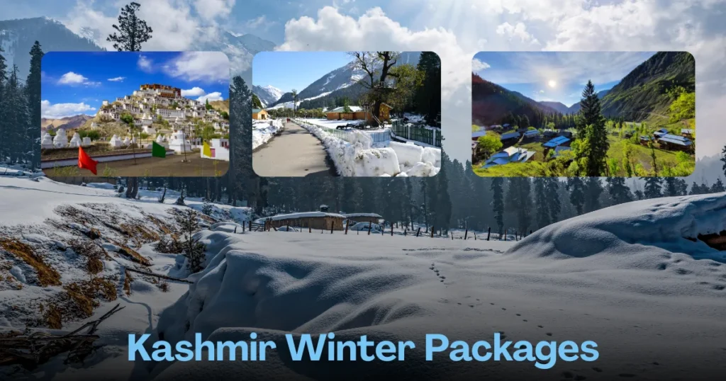 Kashmir Winter Packages