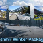 Kashmir Winter Packages