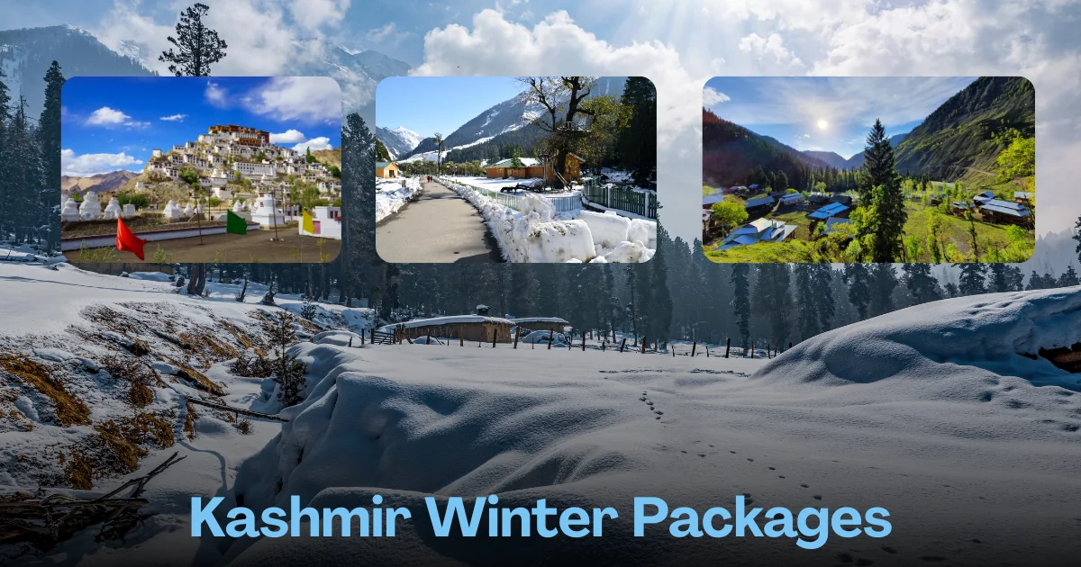 Kashmir Winter Packages