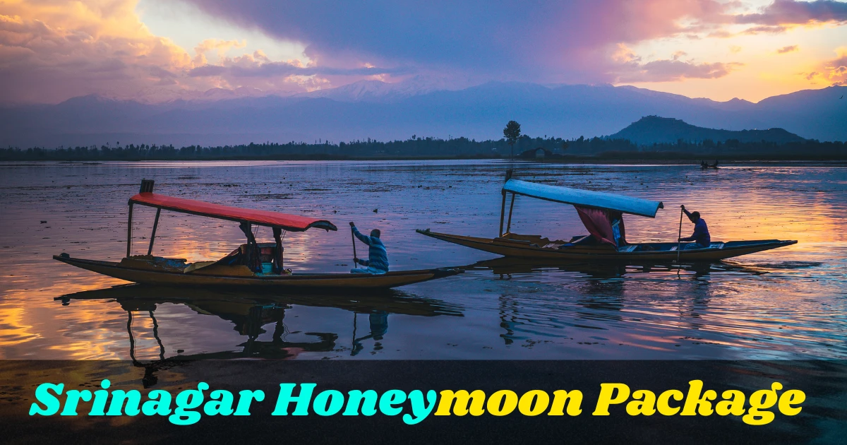 Srinagar Honeymoon Package
