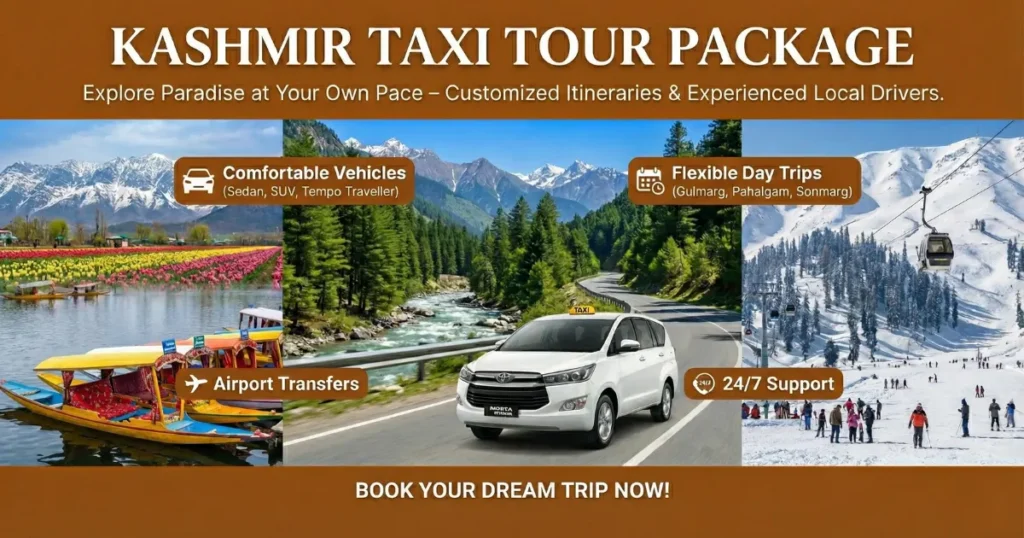 Kashmir Taxi Tour Package