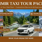 Kashmir Taxi Tour Package